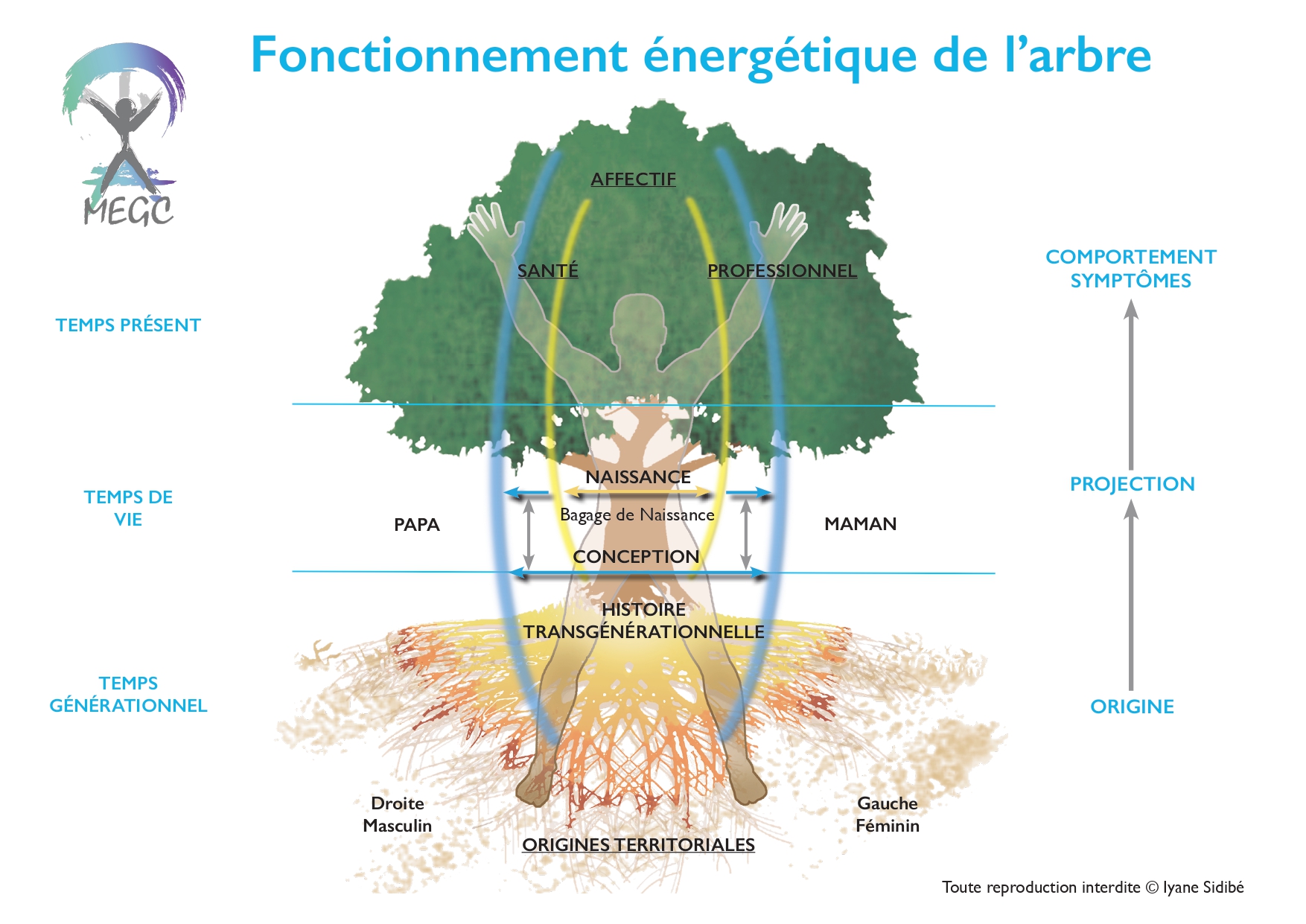 Arbre Energetique