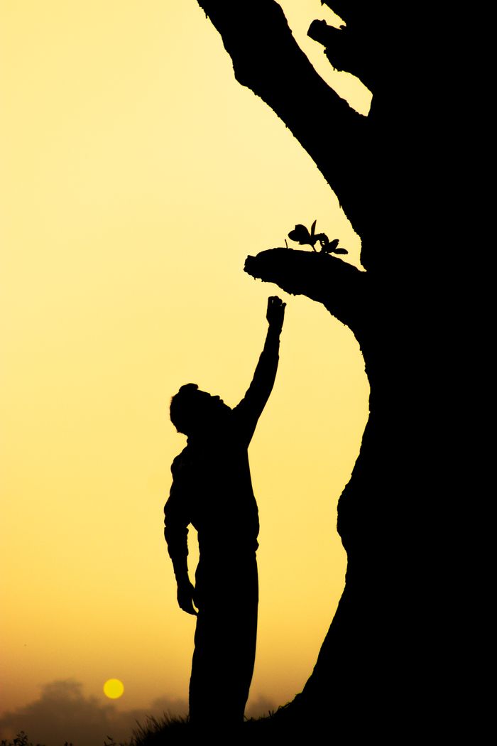 Silhouette d'un homme tendant la main vers une branche d'arbre au coucher du soleil, symbole de libération et de transformation intérieure
